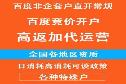 某行业领先企业背后的百度推广代理商策略